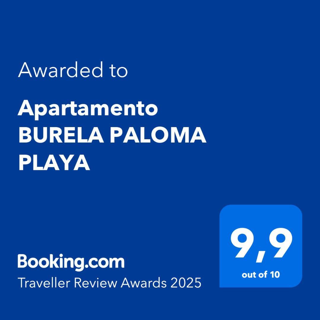 Paloma Playa * Burela
